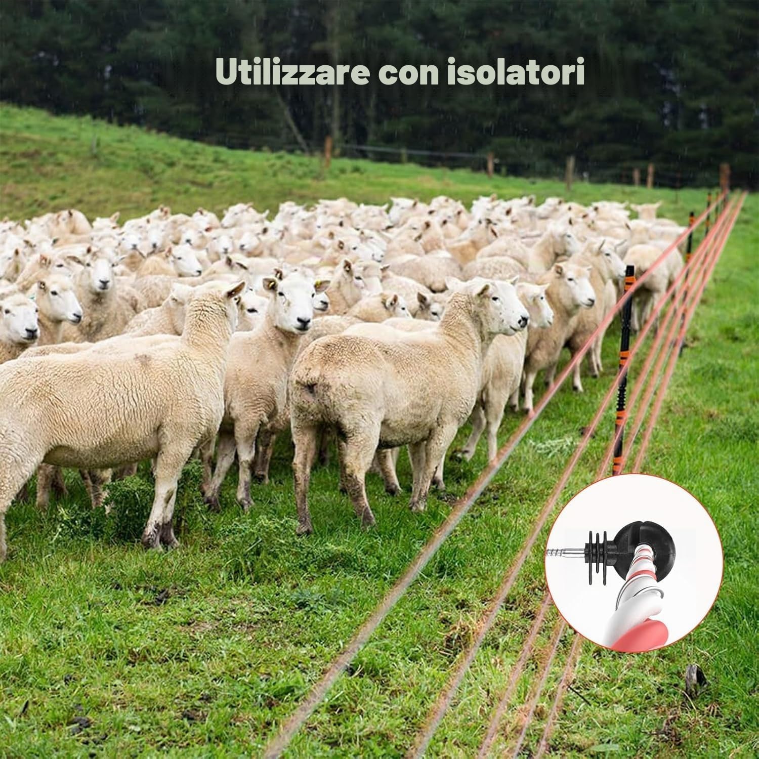Les-Theresa Filo per Recinto, Corda per Recinzioni Filo per Recinto Elettrico, Lunghezza Totale 500 Metri/1640,42 Piedi, con 6 Fili Conduttori, Adatto per Bovini, Cavalli e Polli