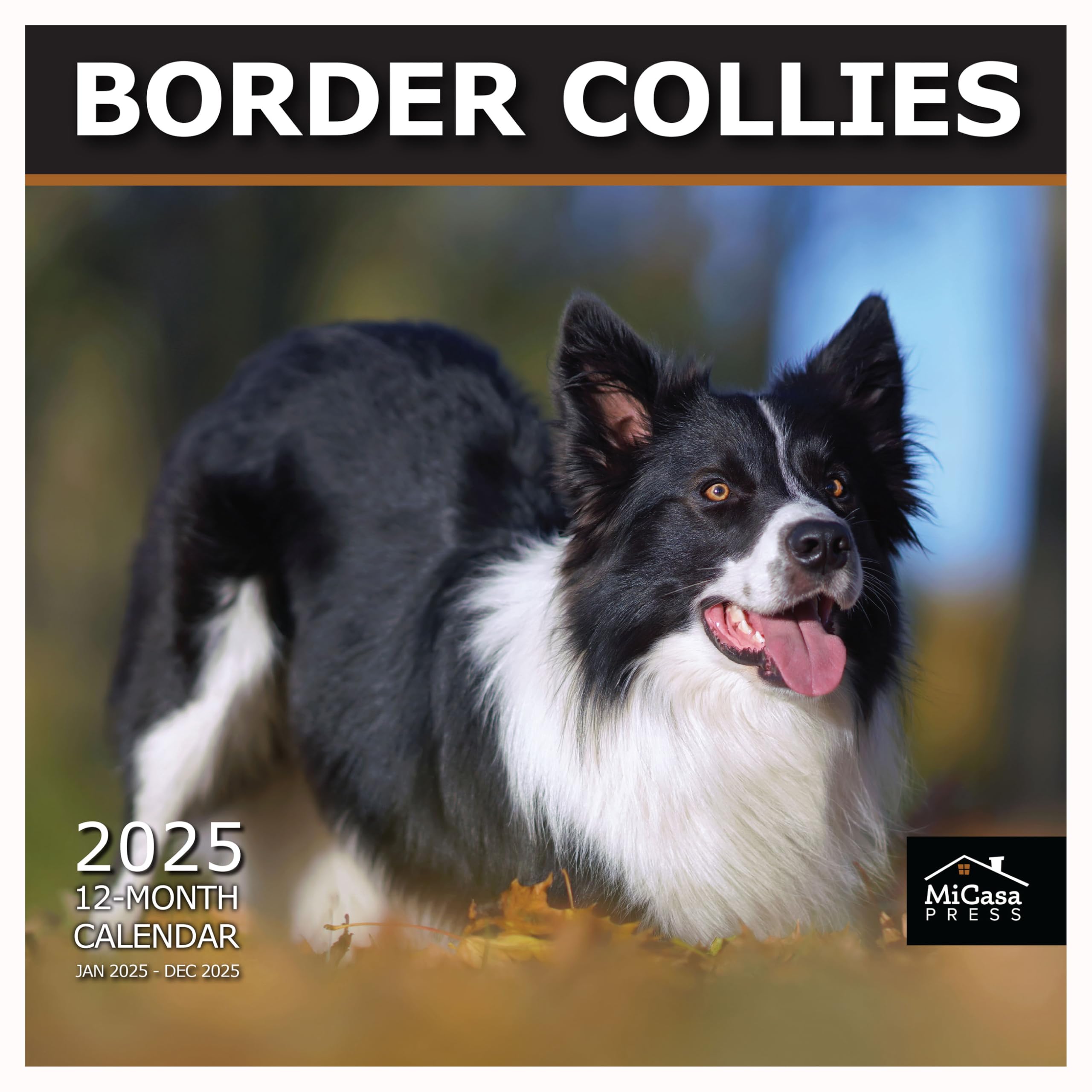 MICASA PRESS - Border Collies 2025 Wall Calendar 12 Month | 12" x 24" Open | Thick &amp; Sturdy Paper | Giftable | Calendar 2025