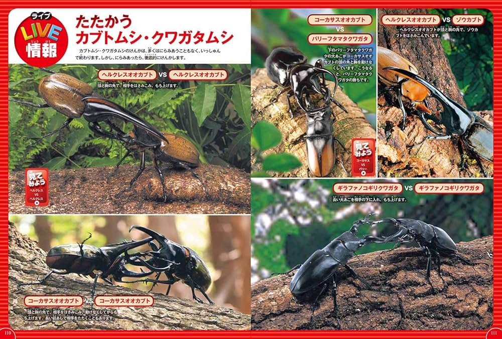ᾰῘS学研の図鑑 カブトムシ・クワガタムシHὠῤ カブトムシ・クワガタムシ (学研の図鑑 LIVE 18) : Amazon.de: Bücher
