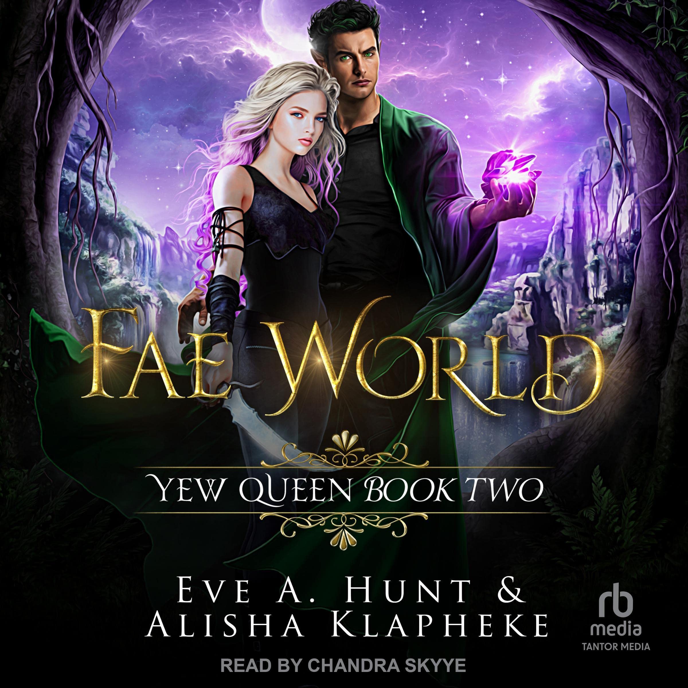 Cover art for Fae World