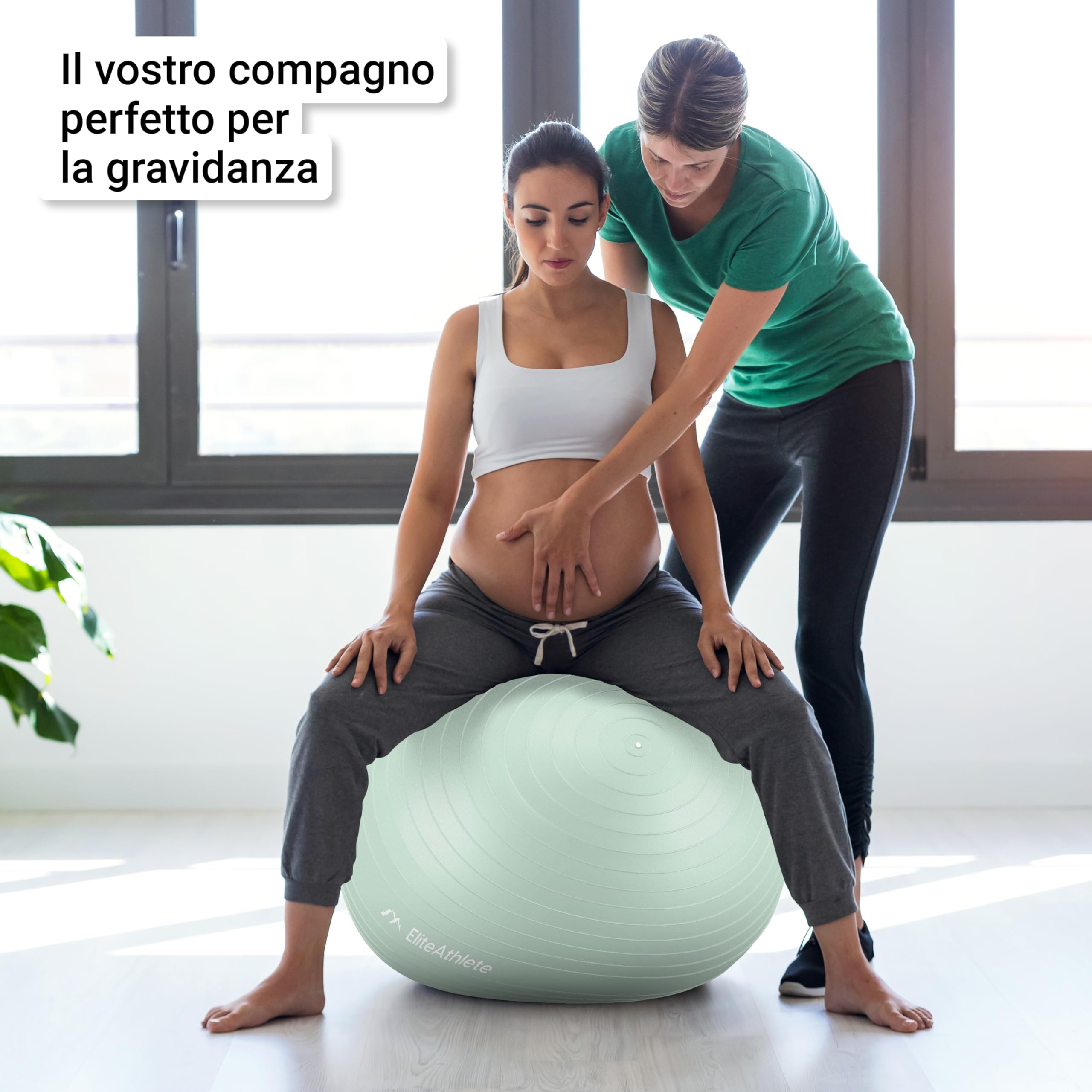 EliteAthlete Palla Fitness con Sistema Anti Burst - Palla Pilates Yoga - Fitball 55 cm 65 cm 75 cm 85 cm - Palla Gravidanza - Fit Ball incl. Pompa d'Aria