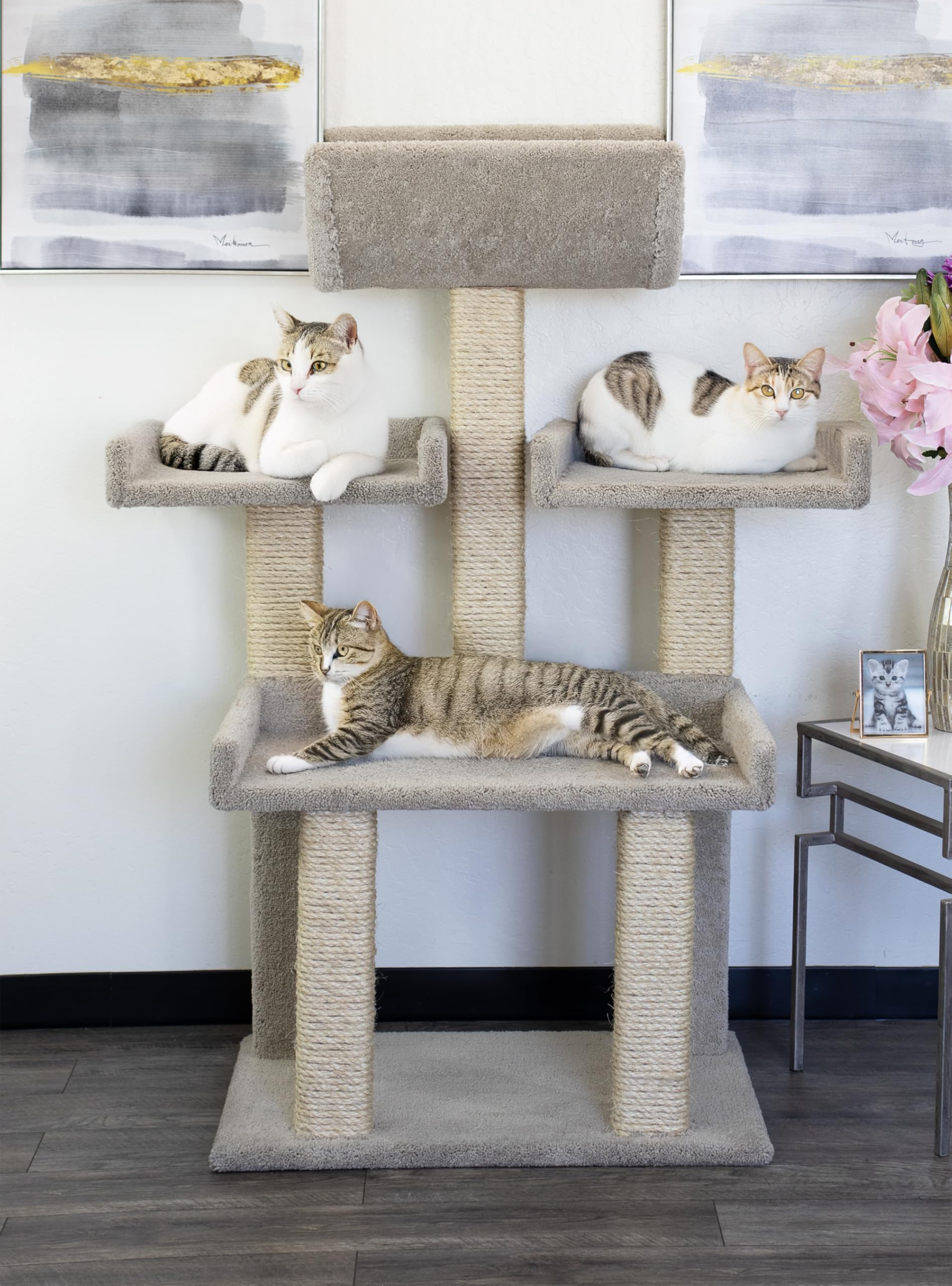 洋書 Luxury for Cats teNeues Luxury for Cats - Patrice Farameh