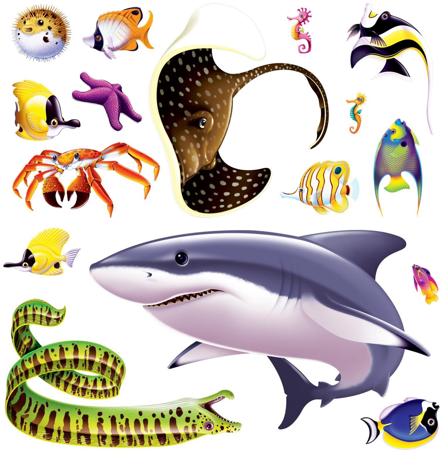 Marine Life Props Party Accessory (1 count) (16/Pkg)