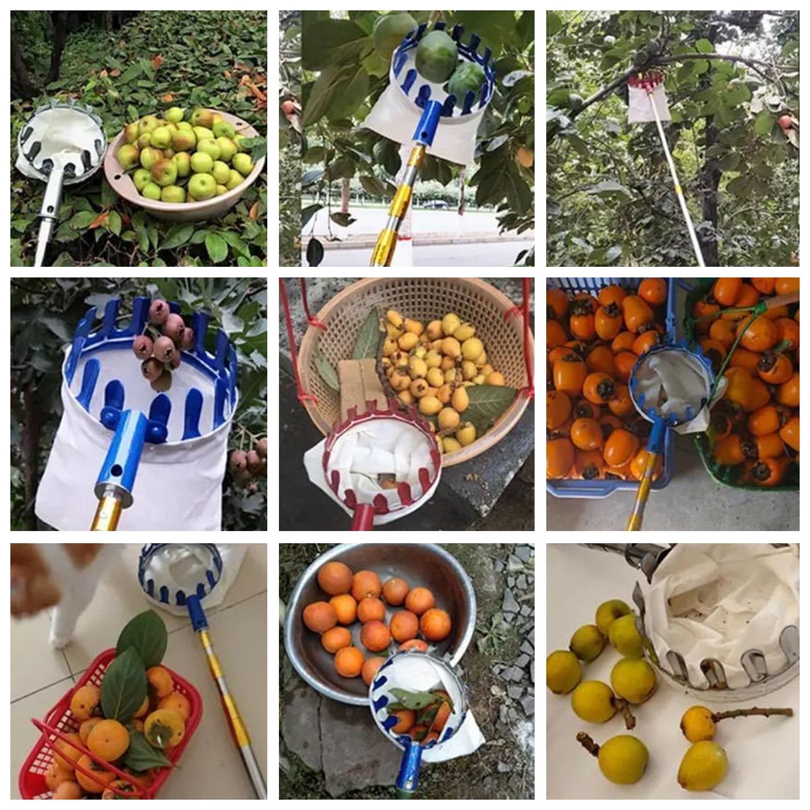 obstpflücker apfelpflücker Obstpflücker Werkzeug, 2.5 4 6 10 M Ausziehbare Stange Für Apfel-Orange-Zitrone-Birne-Pflücker Mit Korbtasche & Teleskopischer Langer Griff Rostfreier Stahl Obstpflücker/ Er