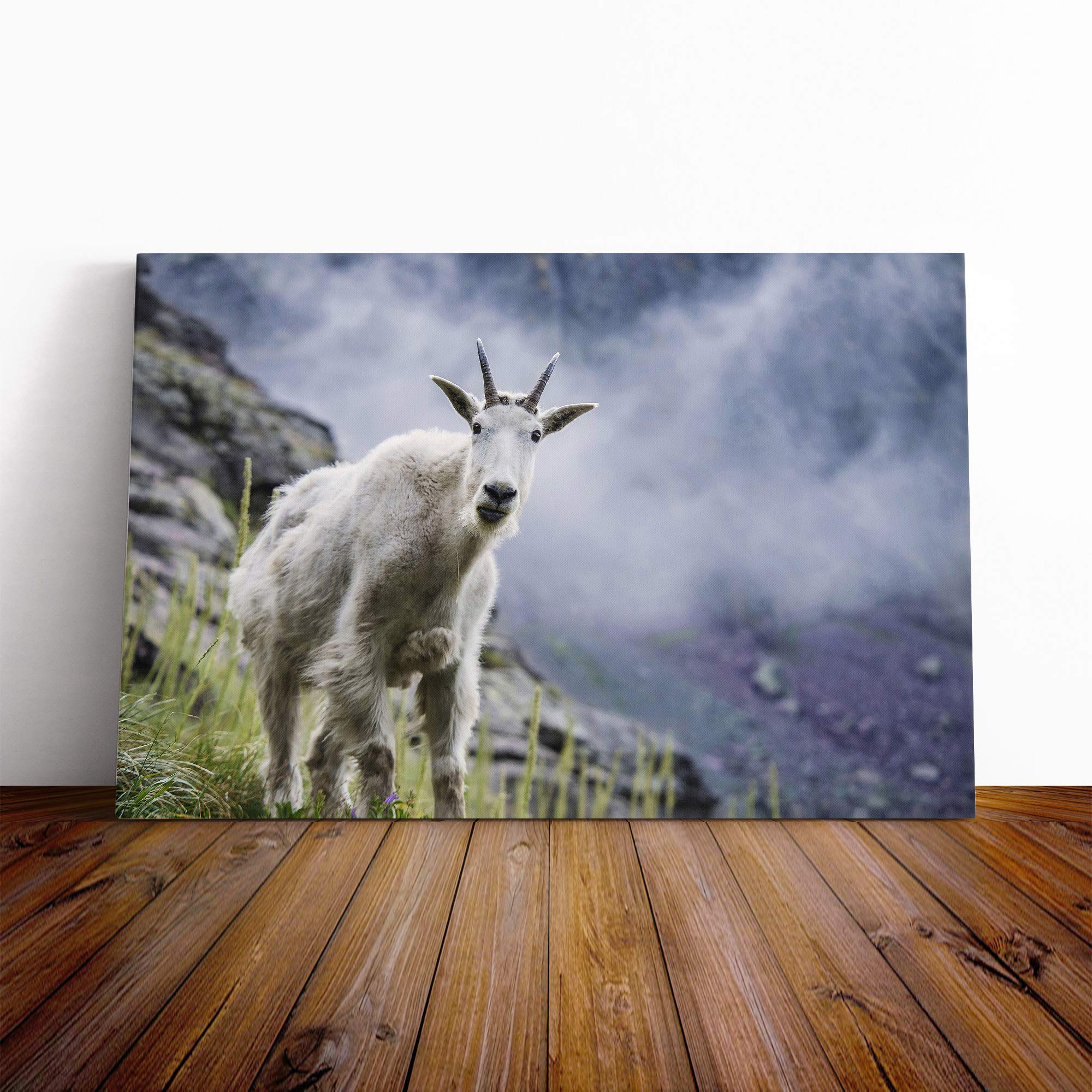 Curious Mountain Goat Canvas Print | Gallery Wrapped 30mm Frame Wall Art | 30x20 inches | Ready to Hang | Modern Animals Picture | Living Room Bedroom Lounge Office