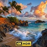 LuXFireApp