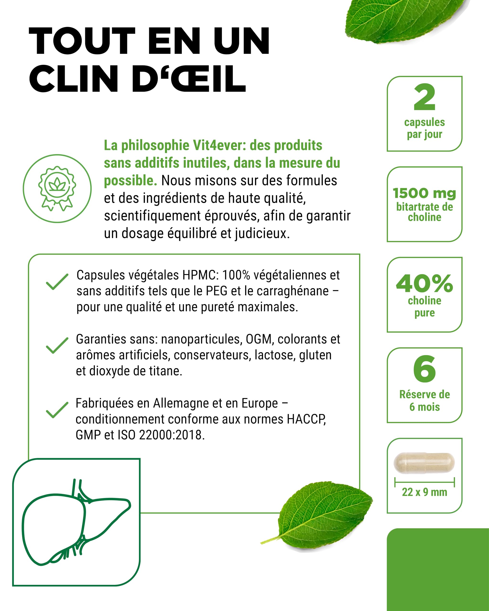 Gélules de Choline – 365 Gélules avec 1500 mg de Bitartrate de Choline par Dose Quotidienne – plus de 6 Mois de Réserve – Foie, Homocystéine & Métabolisme des Graisses – Naturel, Fortement Dosé, Véga