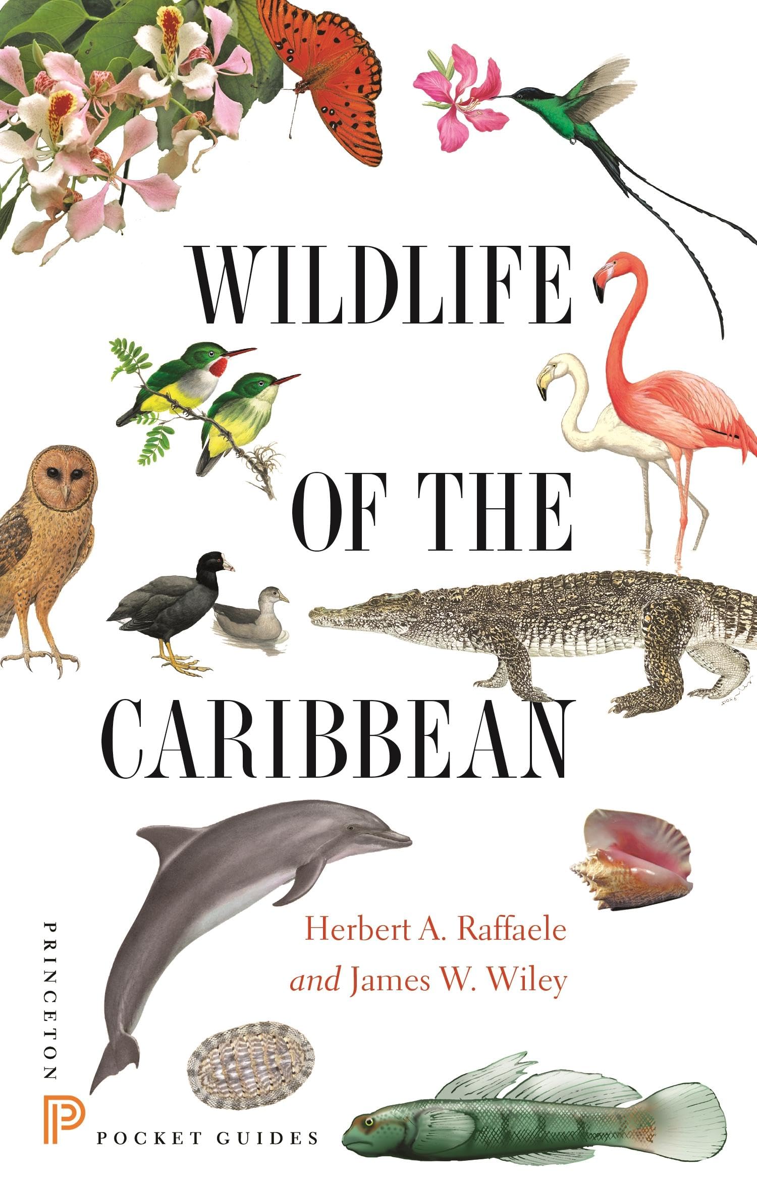 Wildlife of the Caribbean (Princeton Pocket Guides)