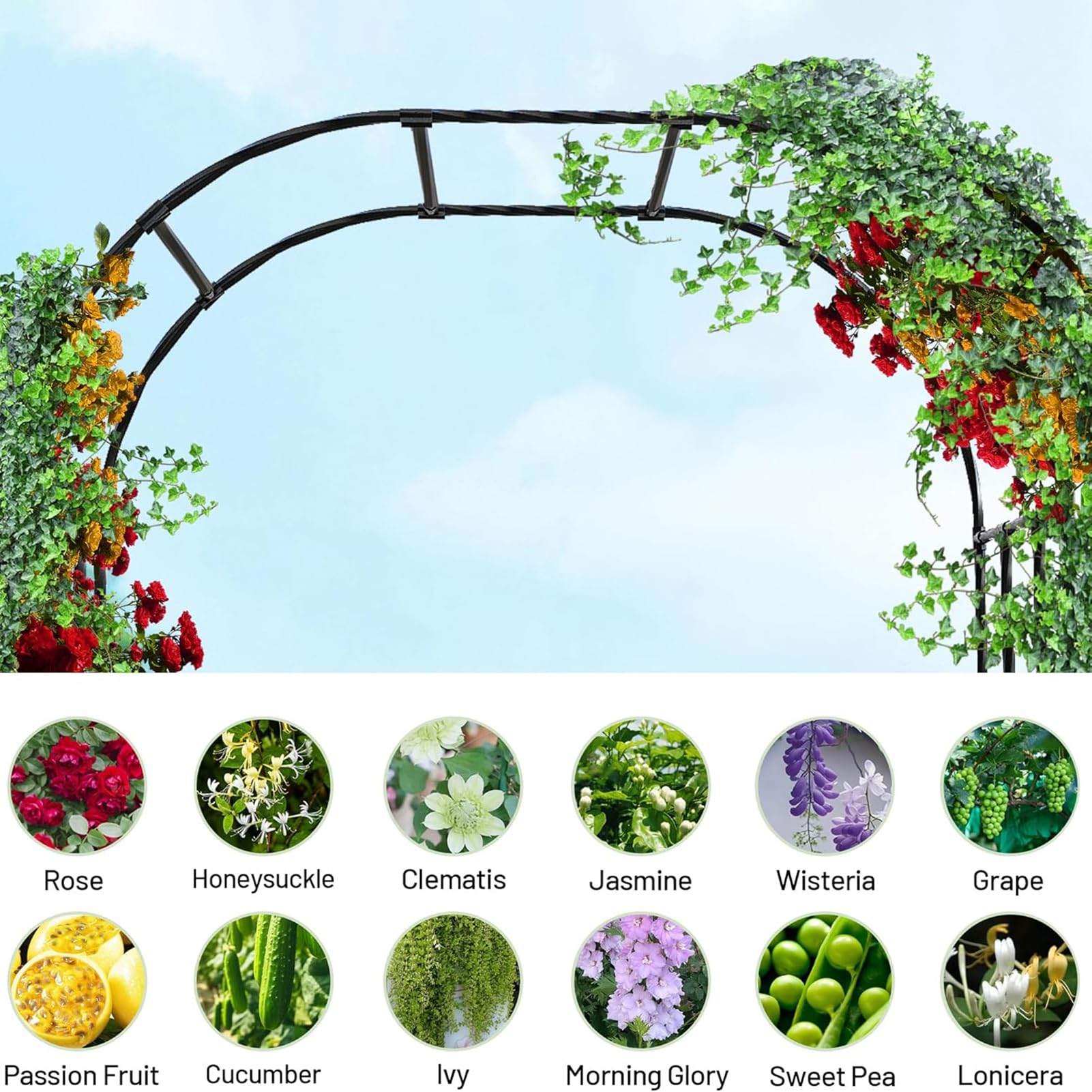 Gartenbogen aus Metall, Rosenbogen 230x140x40 cm, 20 mm Verzinkter Stahlrostfrei, Verstärkte Rankhilfe für Kletterpflanzen, Rosen, Hochzeitsbogen Garten & Outdoor (Schwarz)
