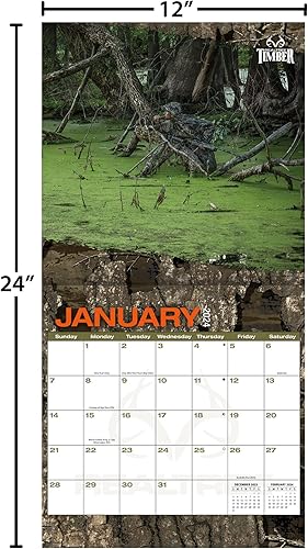 Miniatura 6 de TURNER LICENSING Realtree Hidden Hunter - Calendario de pared de 12 x 12 pulgadas (24998012062)