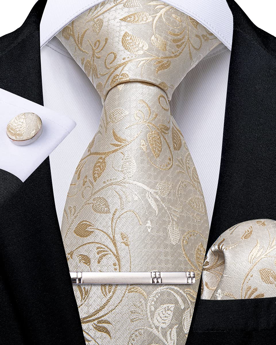 DiBanGu Corbata de cachemira para hombre, corbata formal de seda y pañuelo de bolsillo, gemelos para boda, fiesta de graduación