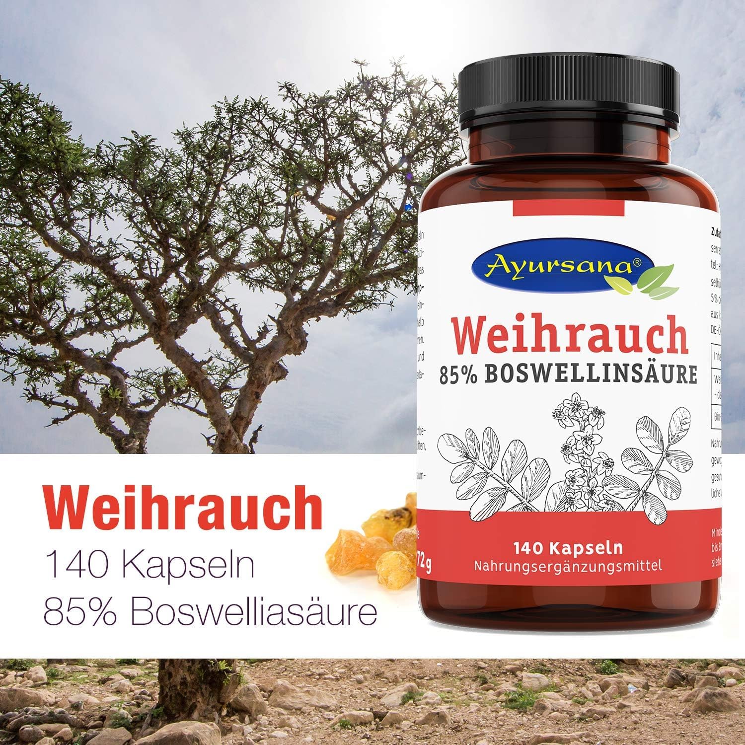 Weihrauch Kapseln (3 x 140 Stück) hochdosiert | Echter indischer Weihrauch mit 85% Boswelliasäuren | 800 mg Weihrauchextrakt je Tagesdosis, davon 660 mg Boswelliasäure | Apothekenqualität