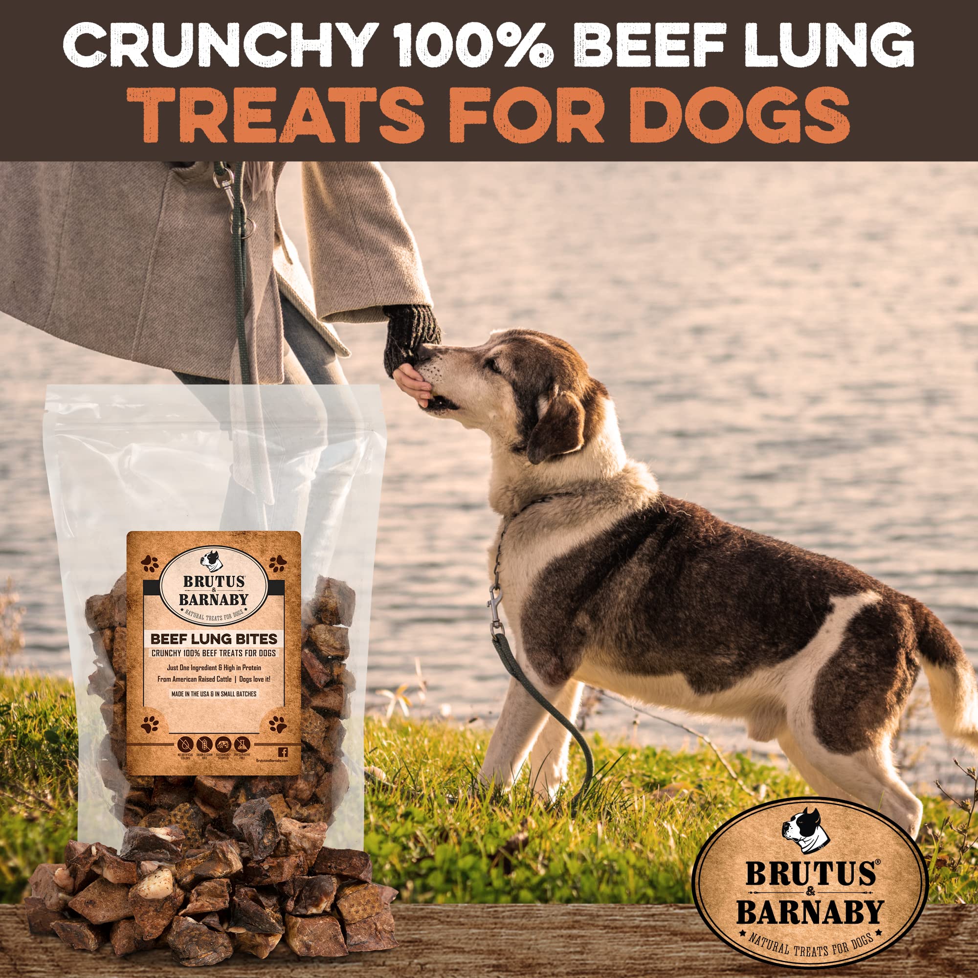 Are Beef Lung Treat Safe For Dogs