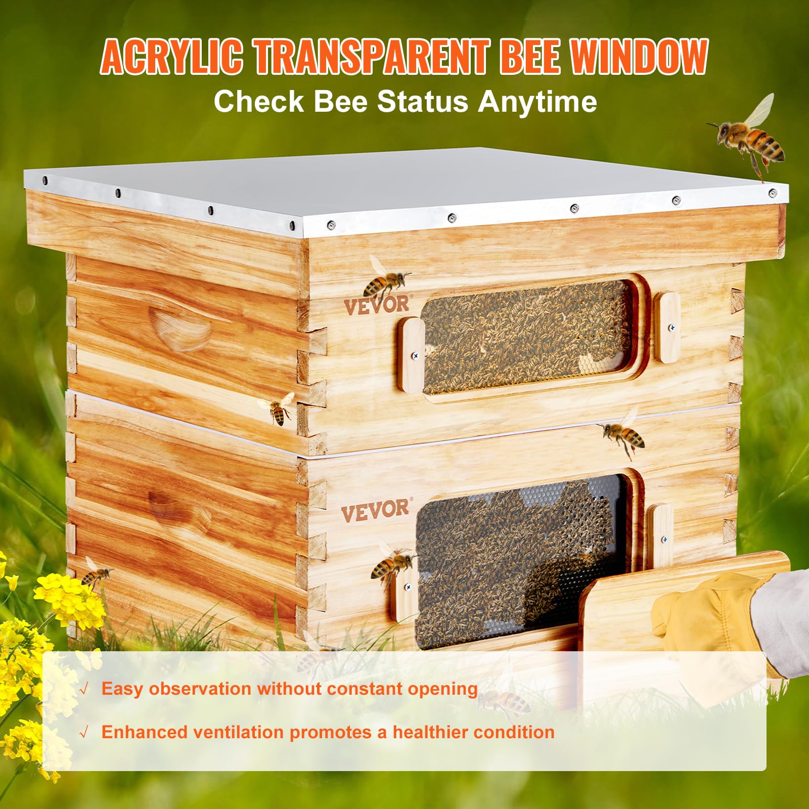 VEVOR Scatola Alveare, 20 favi, Alveare per lucioperca, Legno di cedro rivestito con cera d'api, 1 Scatola per api profonda + 1 Media, Set di alveari Langstroth, Finestre in acrilico trasparente