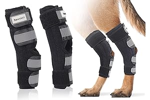 Canine Hock Brace for Back Leg Sprains