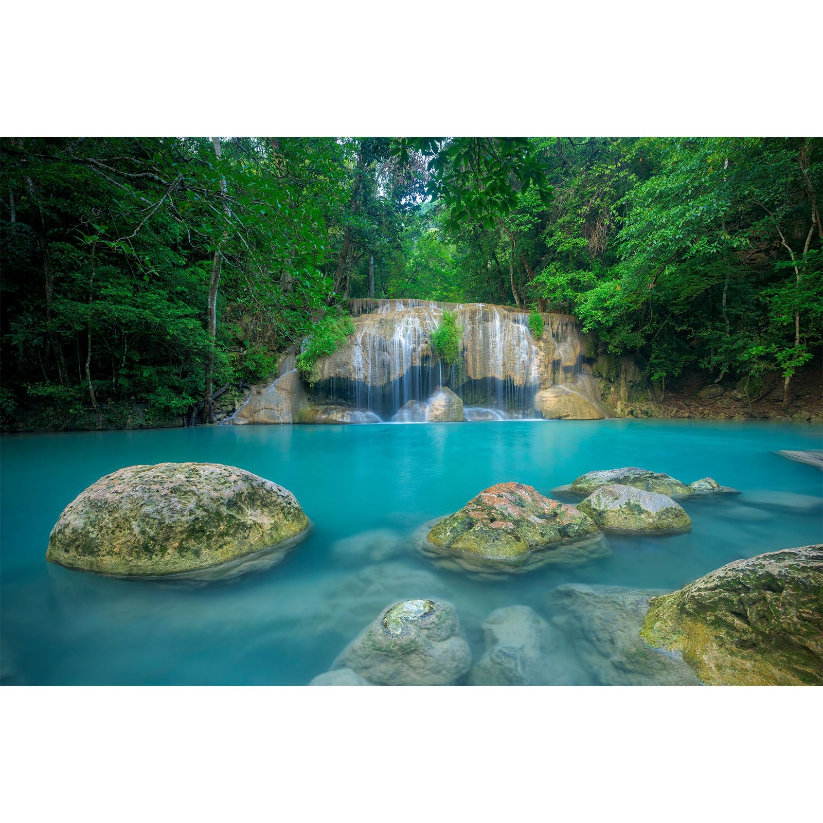 Waterfall Aquarium Background Jungle Forest Stream Fish Tank Background Lush Green Trees Huge Rocks Reptile Tank Backgrounds Natural Falls Rainforest Landscape Reptile Enclosure Backgrounds 24x12in
