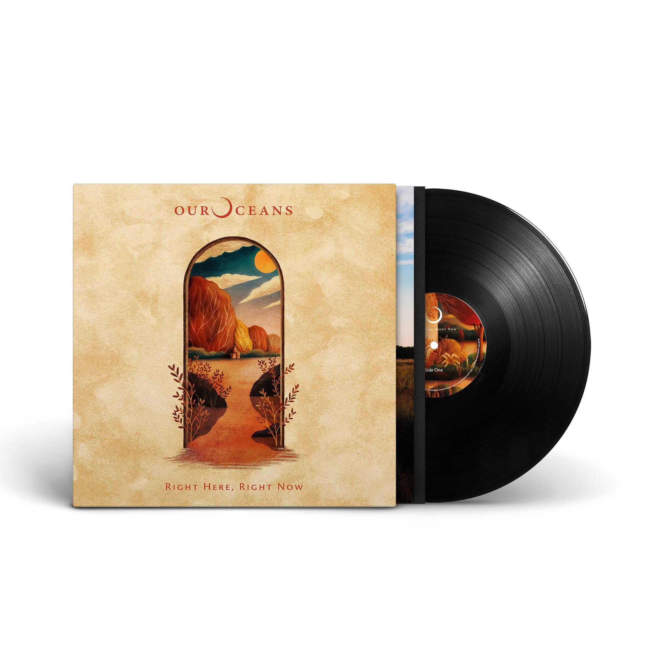 RIGHT HERE, RIGHT NOW [VINYL]