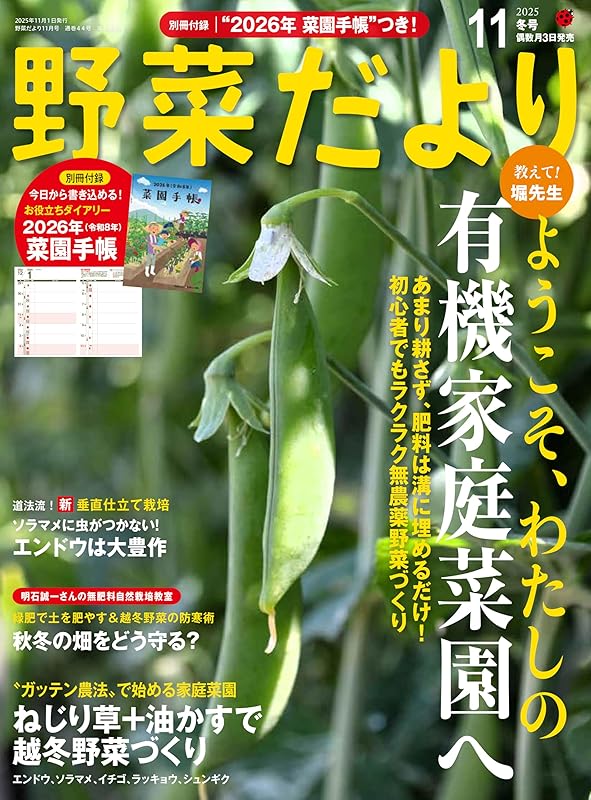 野菜だより2025年11月冬号