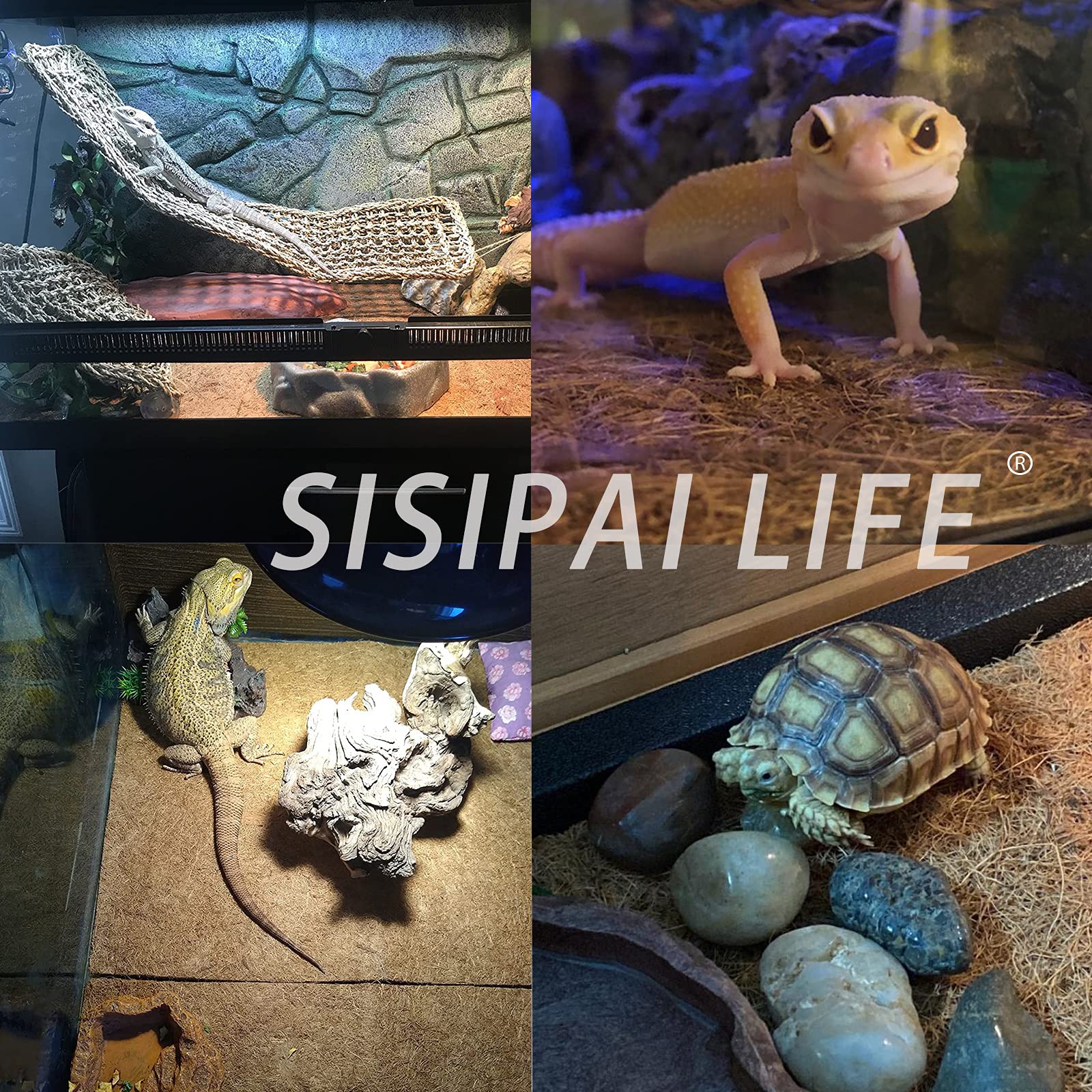 Alfombra de reptil de fibra de coco natural, 36 x 18 pulgadas, alfombra de tortuga para forro de terrario de mascotas, suministros de cama de reptiles para lagarto, serpiente, camaleón,