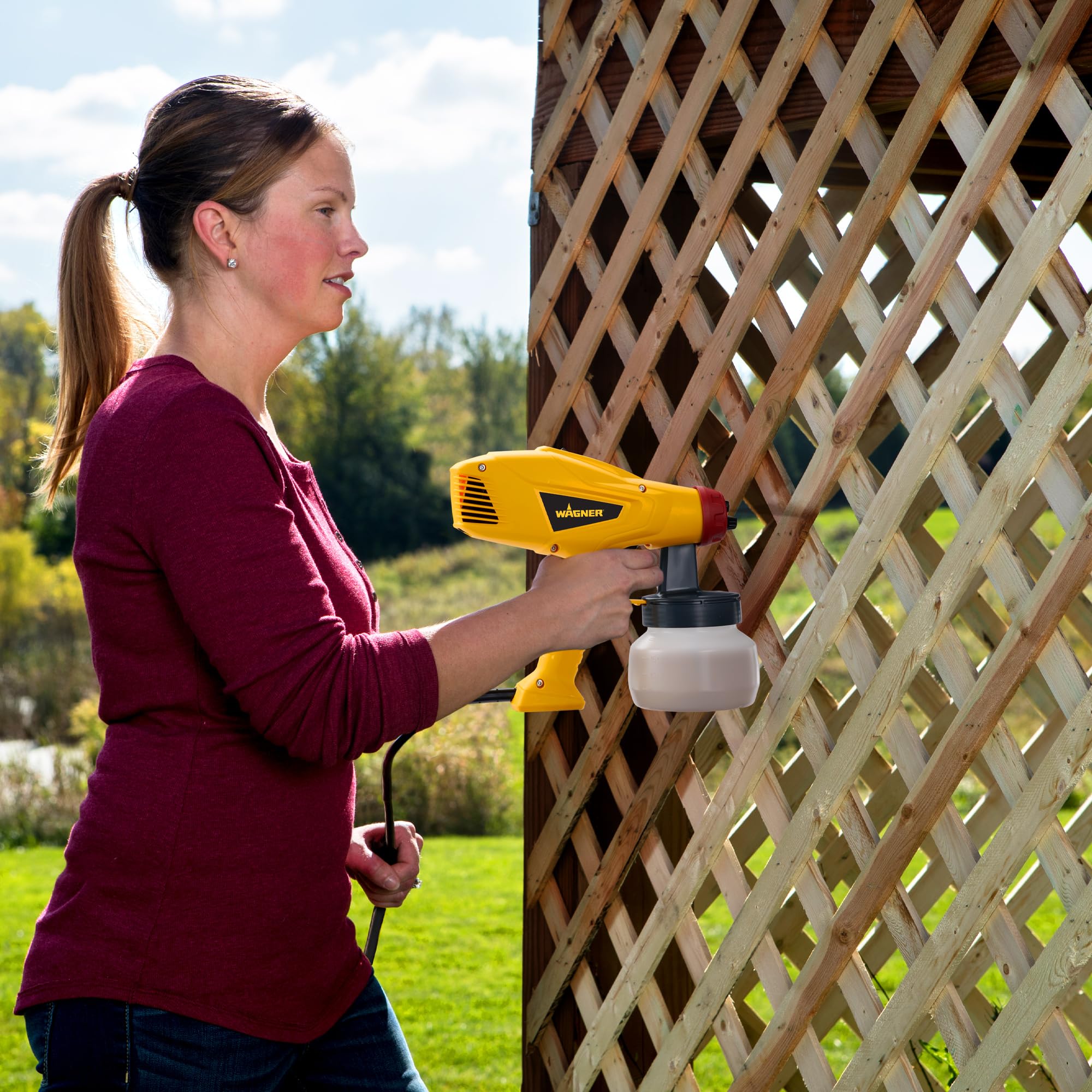 Wagner Spraytech 2418392 Control Spray QX1 HVLP Pulverizador de Manchas, Amarillo