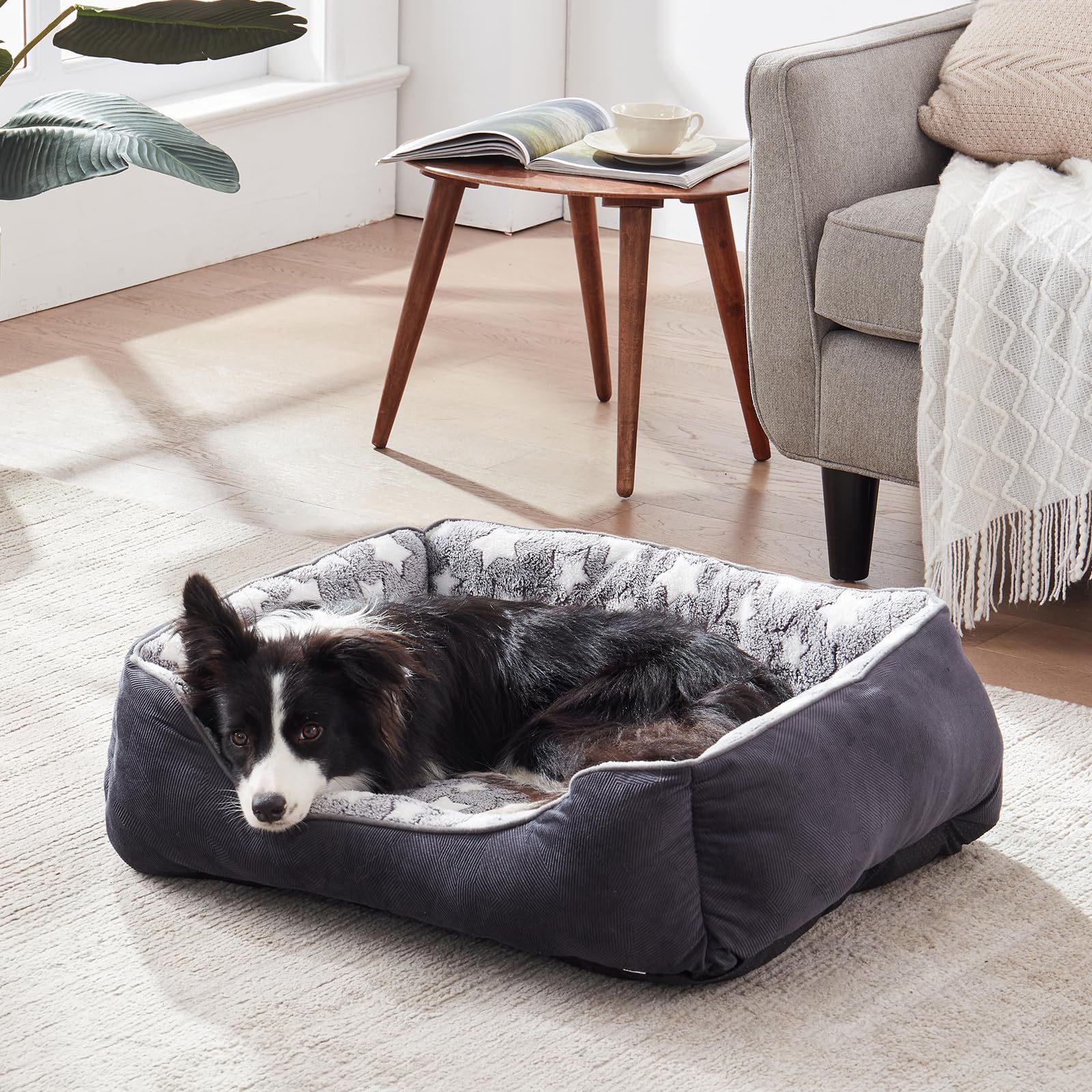 FURTIME Cuccia Cane Letto per Cani Cuscino Lavabile e Antiscivolo Lettino Morbido Divano per Cani Cuccia Cane Interno Taglia Piccola Brandina per Gatto S(51x48x18cm) Nero