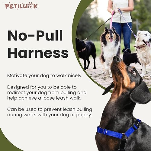 Miniatura 2 de Combo de arnés y correa para perro sin tirones  Camina en armonía con comodidad ajustable  Deja de jalar con facilidad  Accesorio de correa frontal