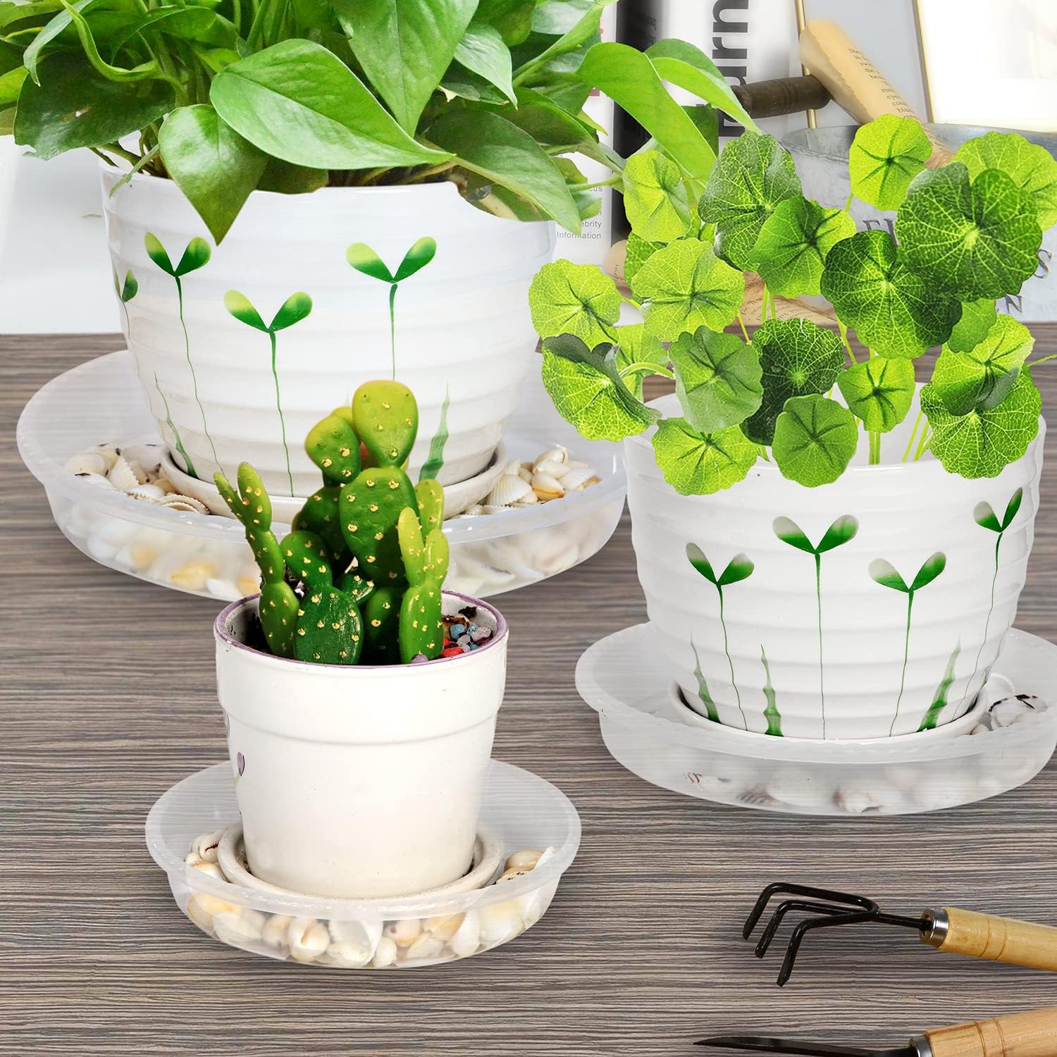 SupKing Plant Saucers - 9 Pack, Clear Trays -4