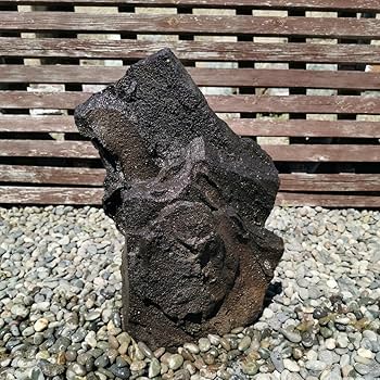 Amazon.co.jp: 浅間溶岩石10.5キロ庭石鑑賞石石盆石水石灯籠庭坪