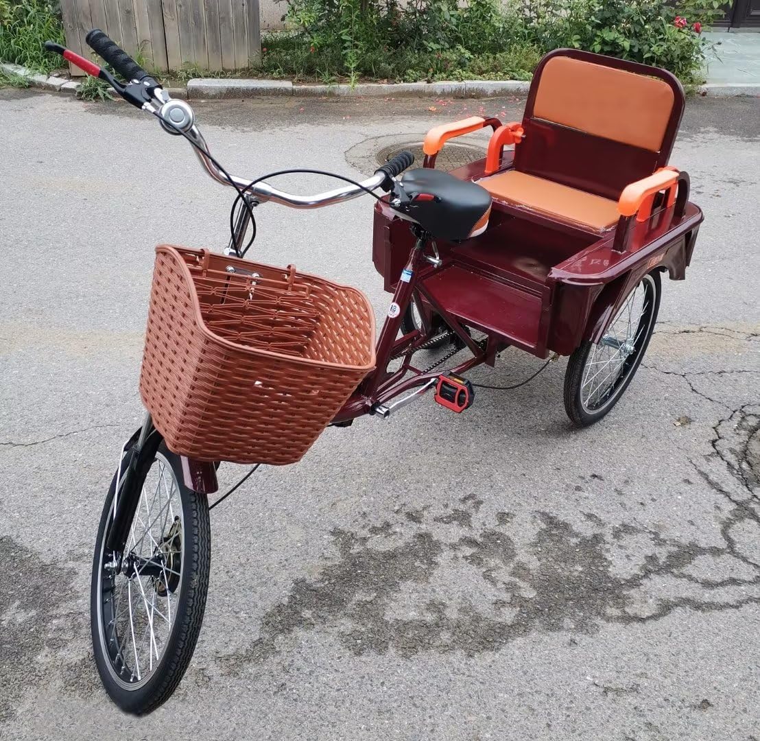 Amazon.com: Elderly Rickshaw Pedal Tricycle with Large Cabin,20inch ...