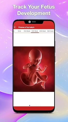 Mom Diary - Stages of Pregnancy