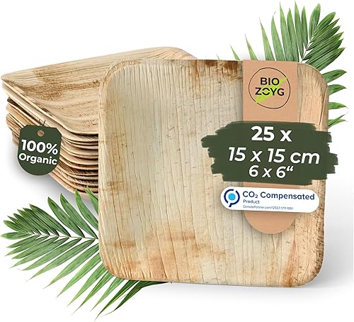 BIOZOYG Platos cuadrados desechables de hoja de palma de 6 pulgadas, (50 piezas) platos de bambú como paquete de fiesta, platos compostables y