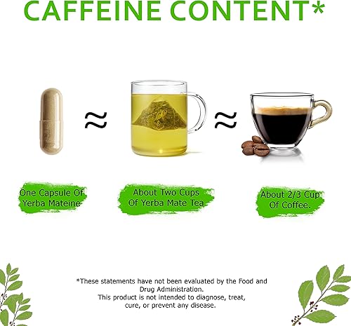 Miniatura 3 de Yerba Mate extra fuerte de 6000 mg de alta potencia, 60 mg de cafeína por cápsula, píldoras de extracto de suplementos para energía natural limpia,