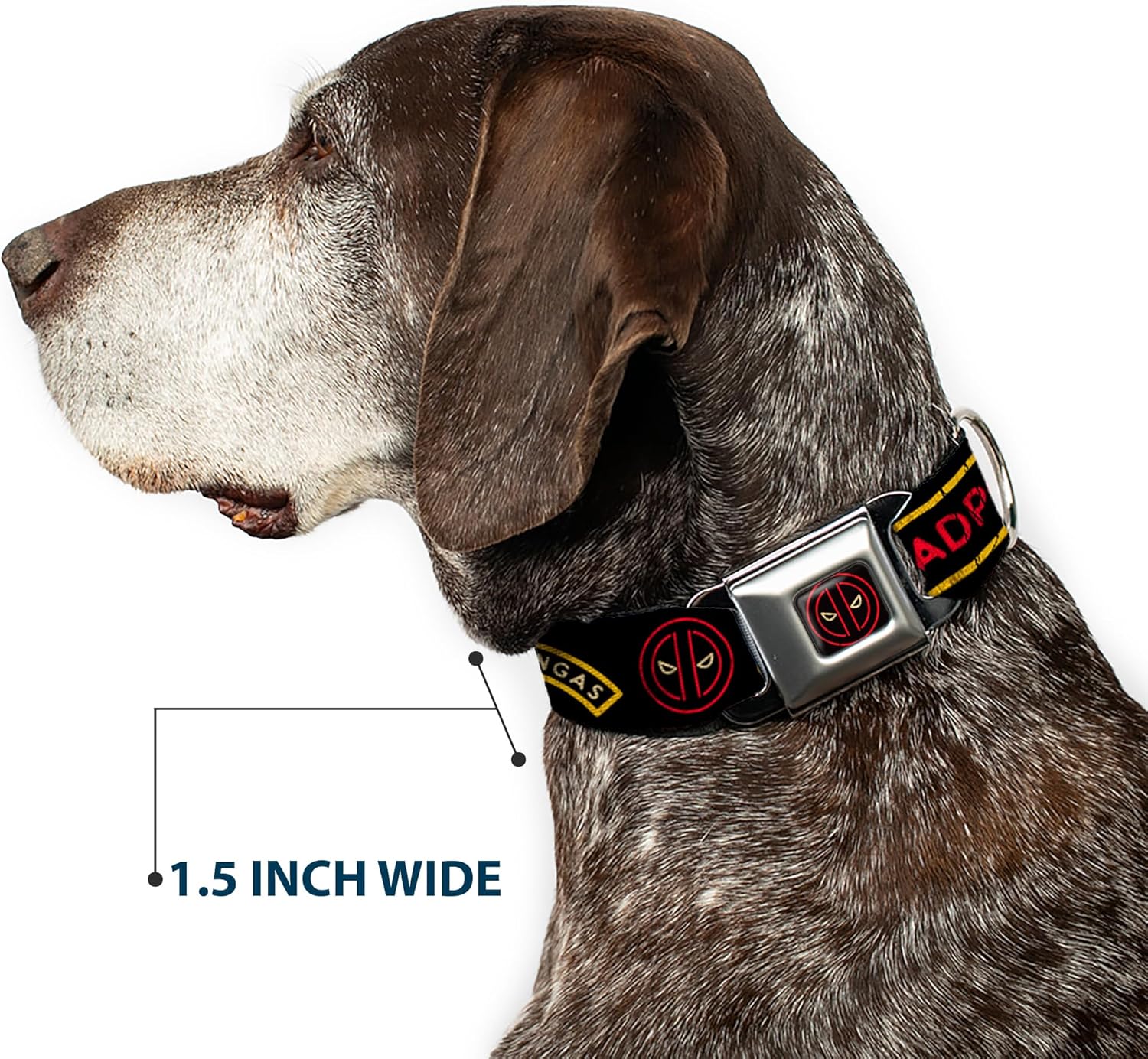 Dog Collar Seatbelt Buckle Deadpools Chimichangas Flames Yellow Black Red 9 to 15 Inches 1.0 Inch Wide