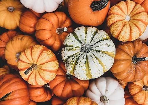Miniatura 7 de Semillas orgánicas de calabaza tostadas en seco con cáscara con sal del Himalaya, 3 libras, aperitivo delicioso y nutritivo hecho de semillas de