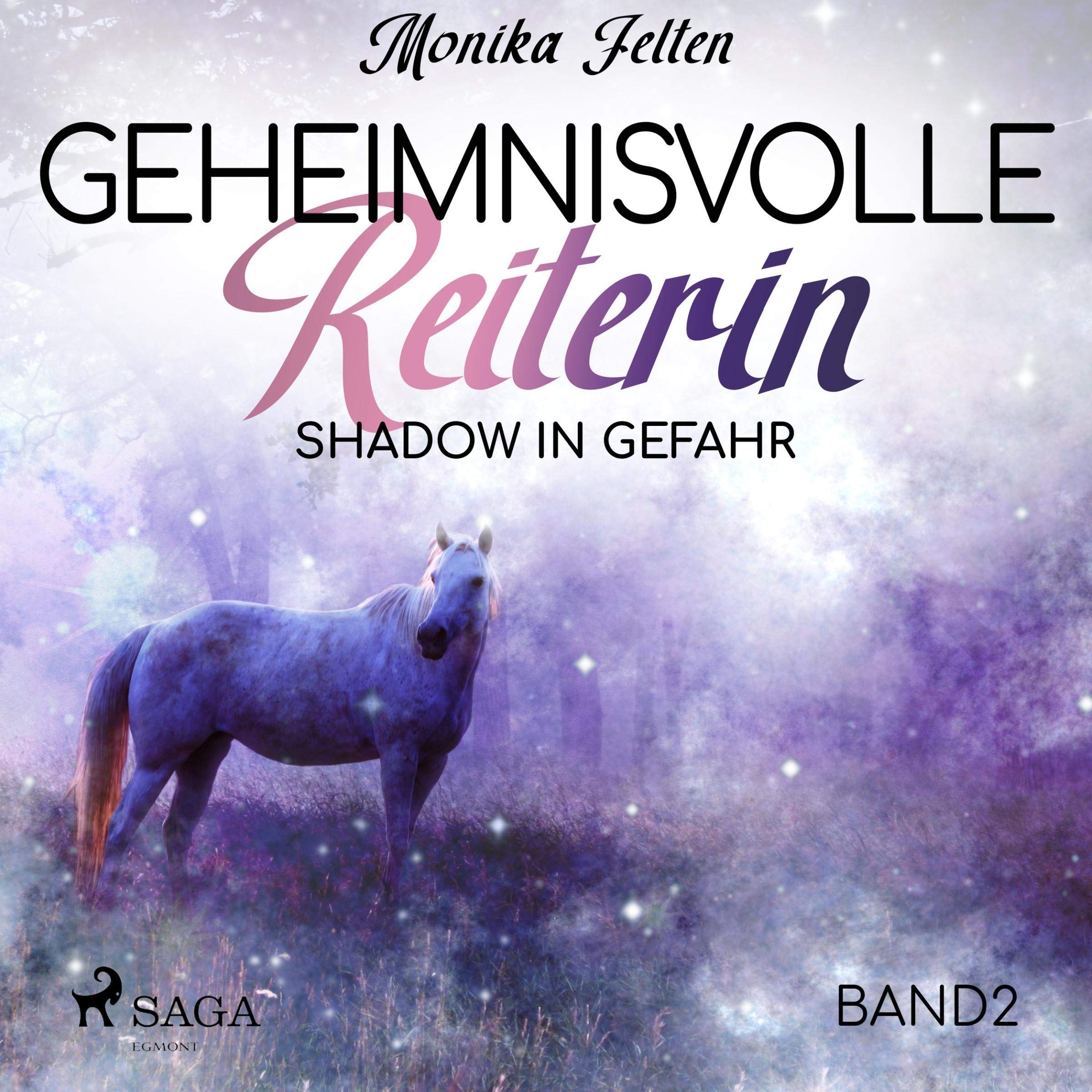 Cover art for Shadow in Gefahr