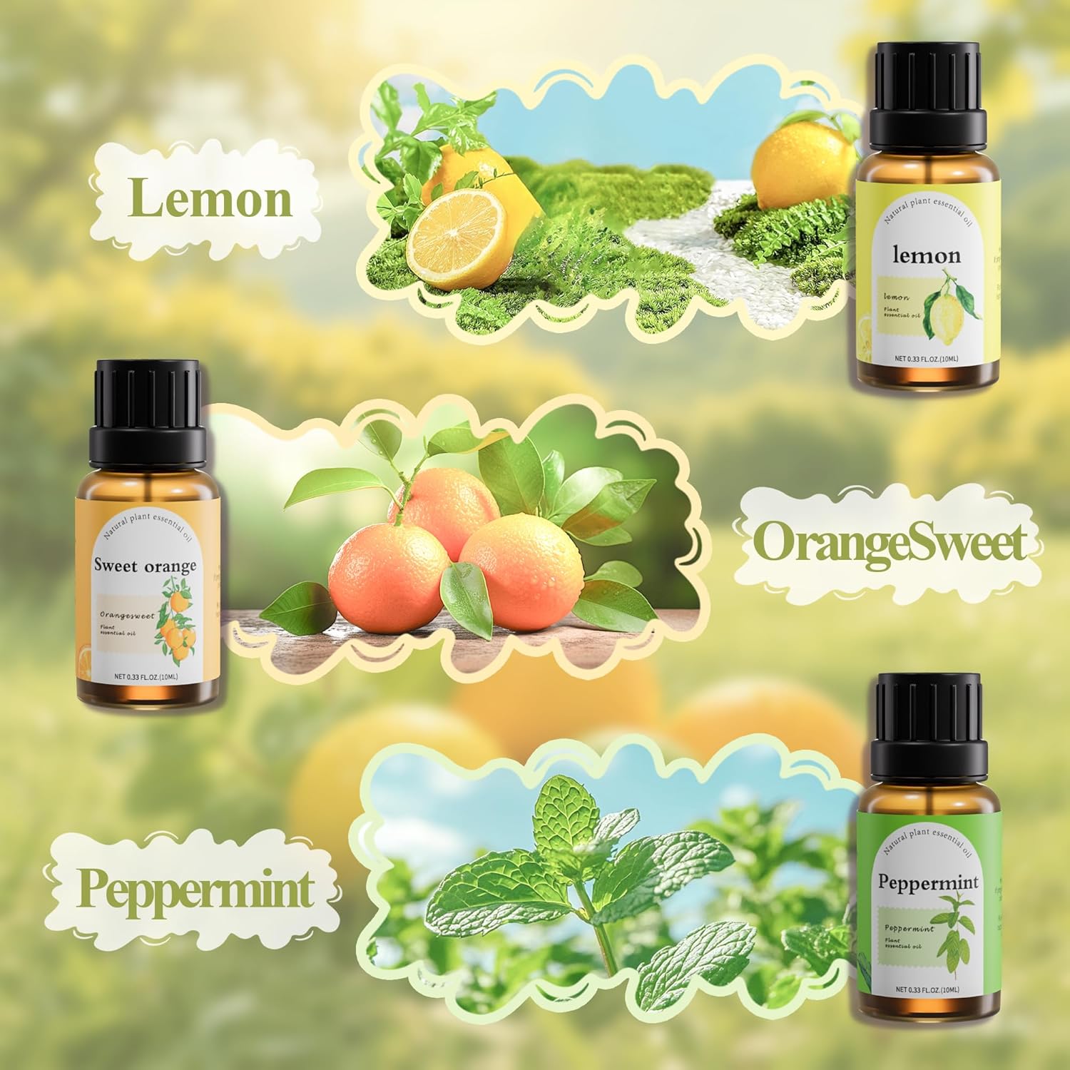 Aromatherapy Essential Oil Set (6-Pack) – Pure Therapeutic Grade Blends for Diffuser & Spa | Includes Calming Magnolia, Chamomile, & Refreshing Citrus | Luxury Gift Set (10ml Each) - Image 3