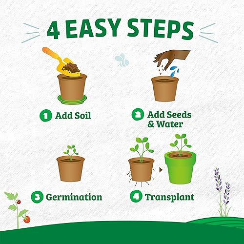 Miniatura 10 de Back to the Roots Macetas de semillas orgánicas y plantables (24 unidades)