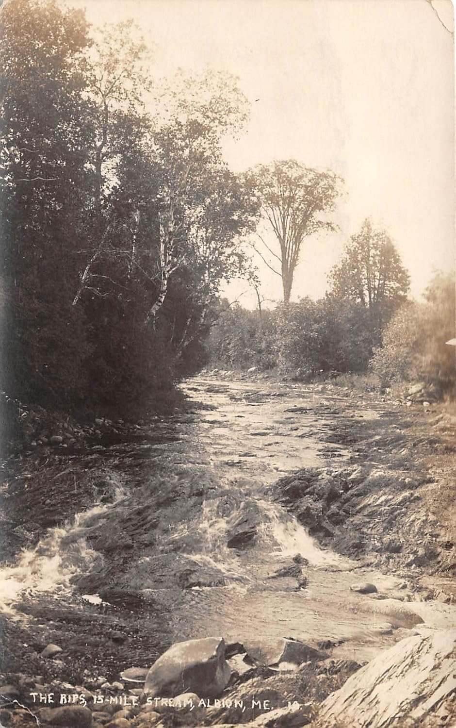 Albion, Maine Postcard at Amazon's Entertainment Collectibles Store