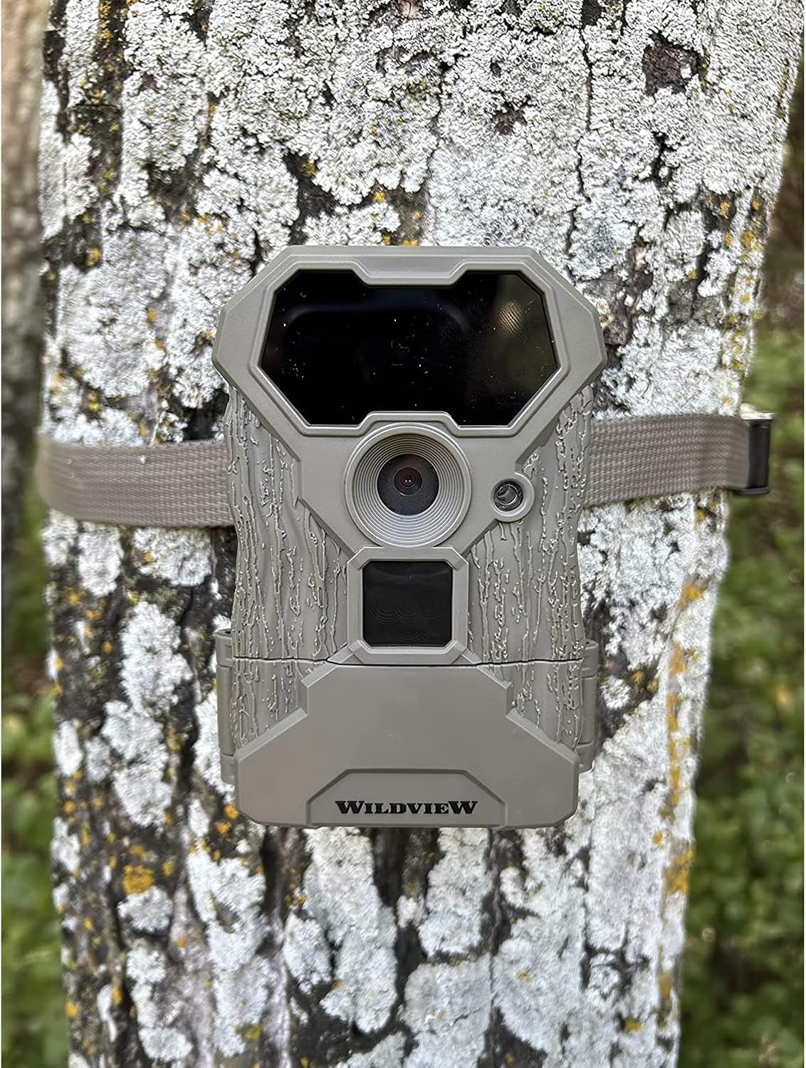 Wildview WV14 camera mounted on a tree using the included strap