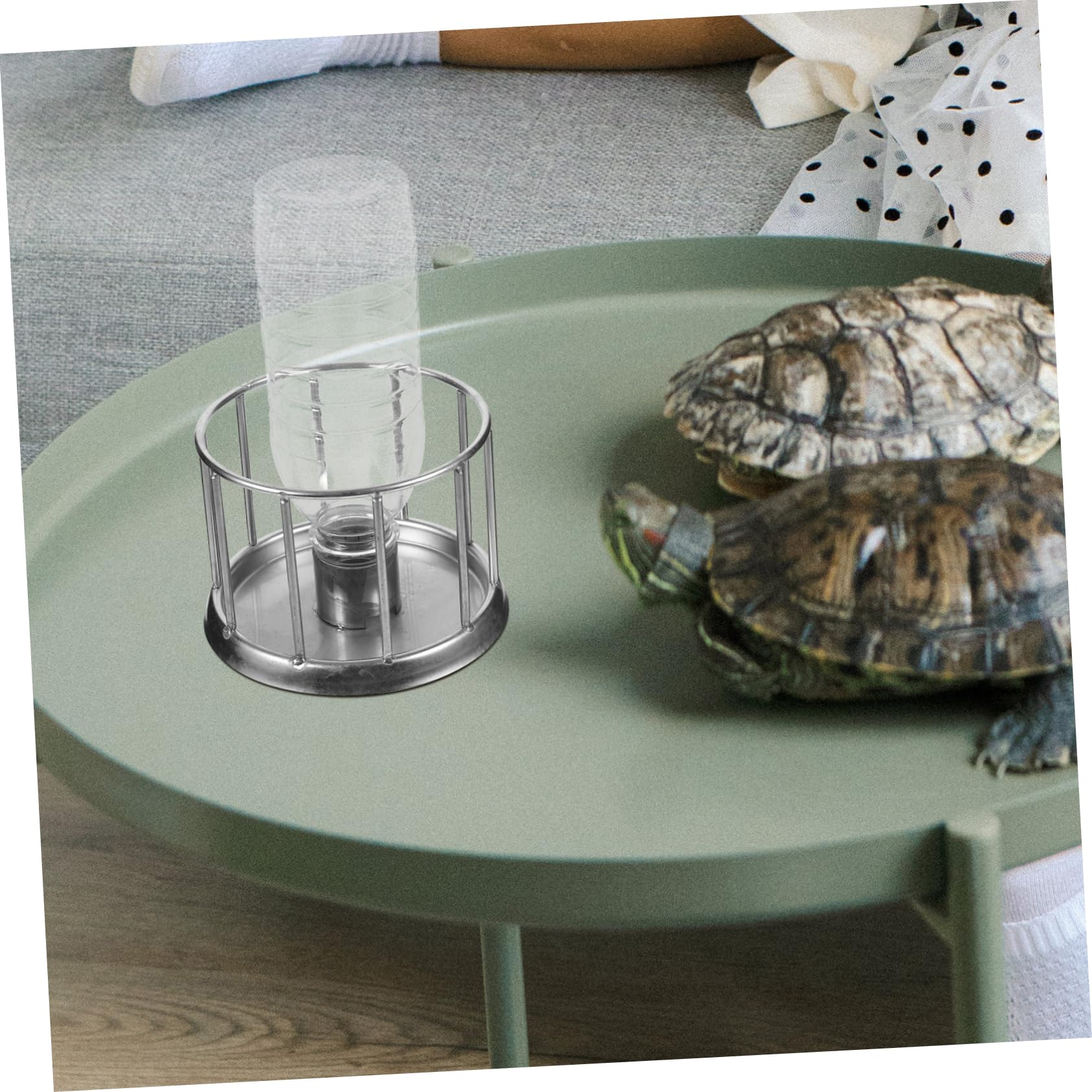 BESPORTBLE 5piezas Bebedero De Agua para Reptiles De Acero Inoxidable Plato De Alimentación Mini para Tortugas Dispositivo Antisalpicaduras para Terrarios y Reptiles