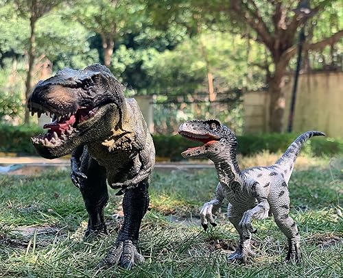 Miniatura 6 de Gemini&Genius Tyrannosaurus Rex y Velociraptor Set con mandíbula movible, juguetes de dinosaurio, figuras de acción del mundo de dinosaurios,