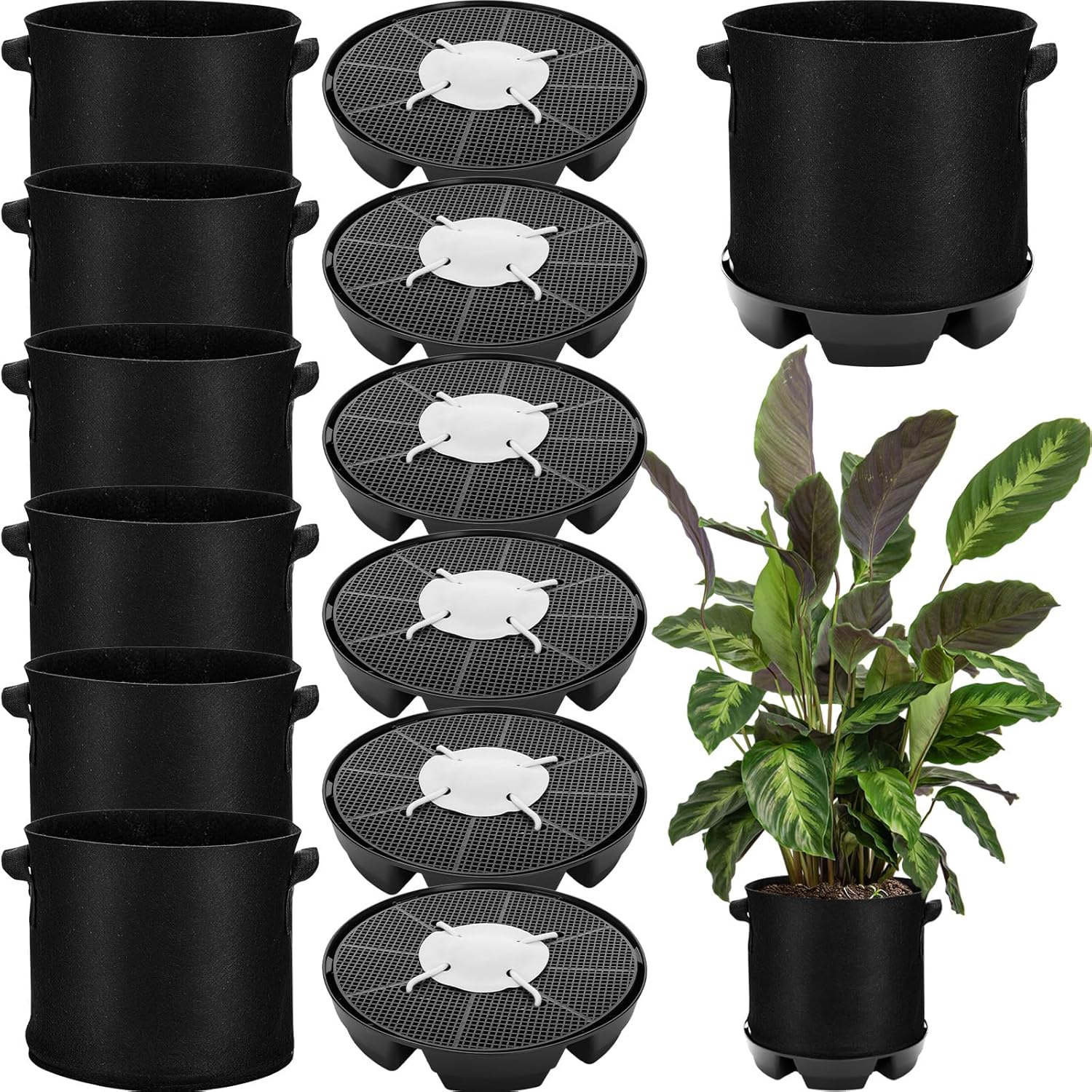 6 Set Self Watering Fabric Pot Base Plant Nonwoven Grow Bags Automatic Watering Plant Saucers Elevated Flower Trays for Fruits Vegetables Flowers(5 Gallon,Black)