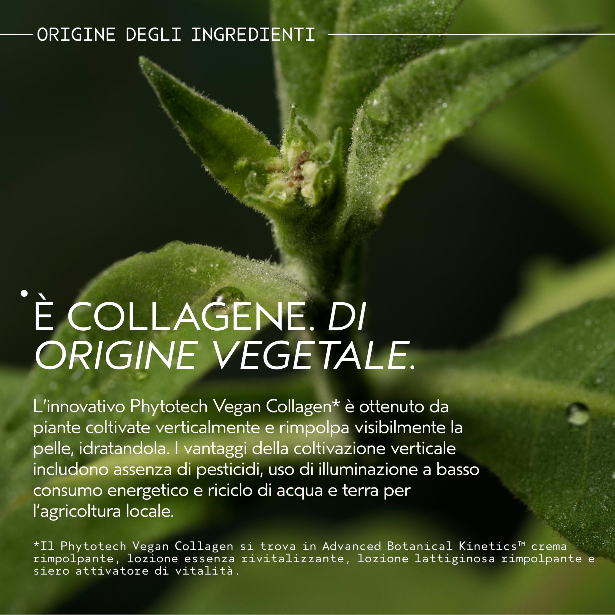 Aveda Advanced Botanical Kinetics™ crema rimpolpante - Crema multi-azione - Rimpolpa la pelle - Riduce visibilmente le rughe - Per tutti i tipi di pelle
