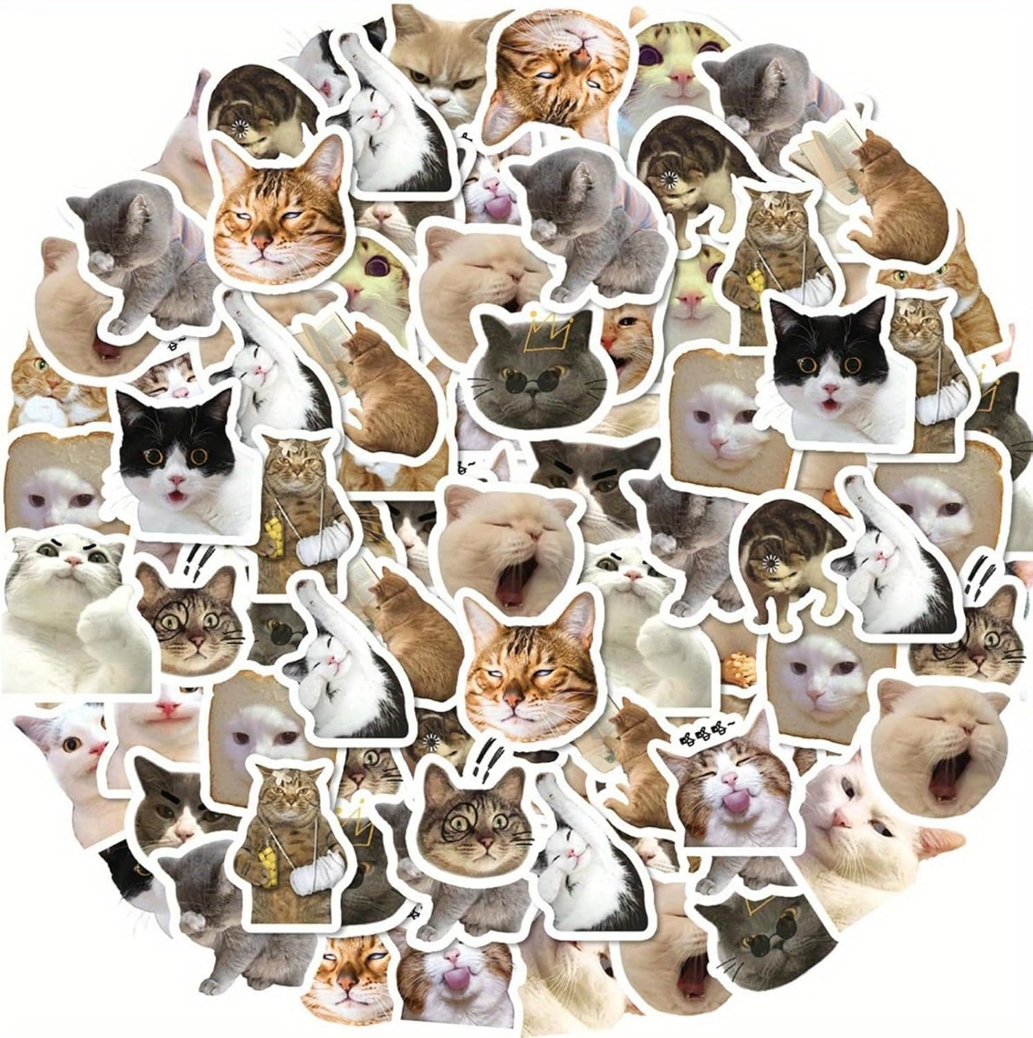 Set of 46 Cat Stickers, Vinyl Stickers, Aesthetic Stickers, Aesthetic Stickers for Luggage Skateboard Car Bike Phone Case