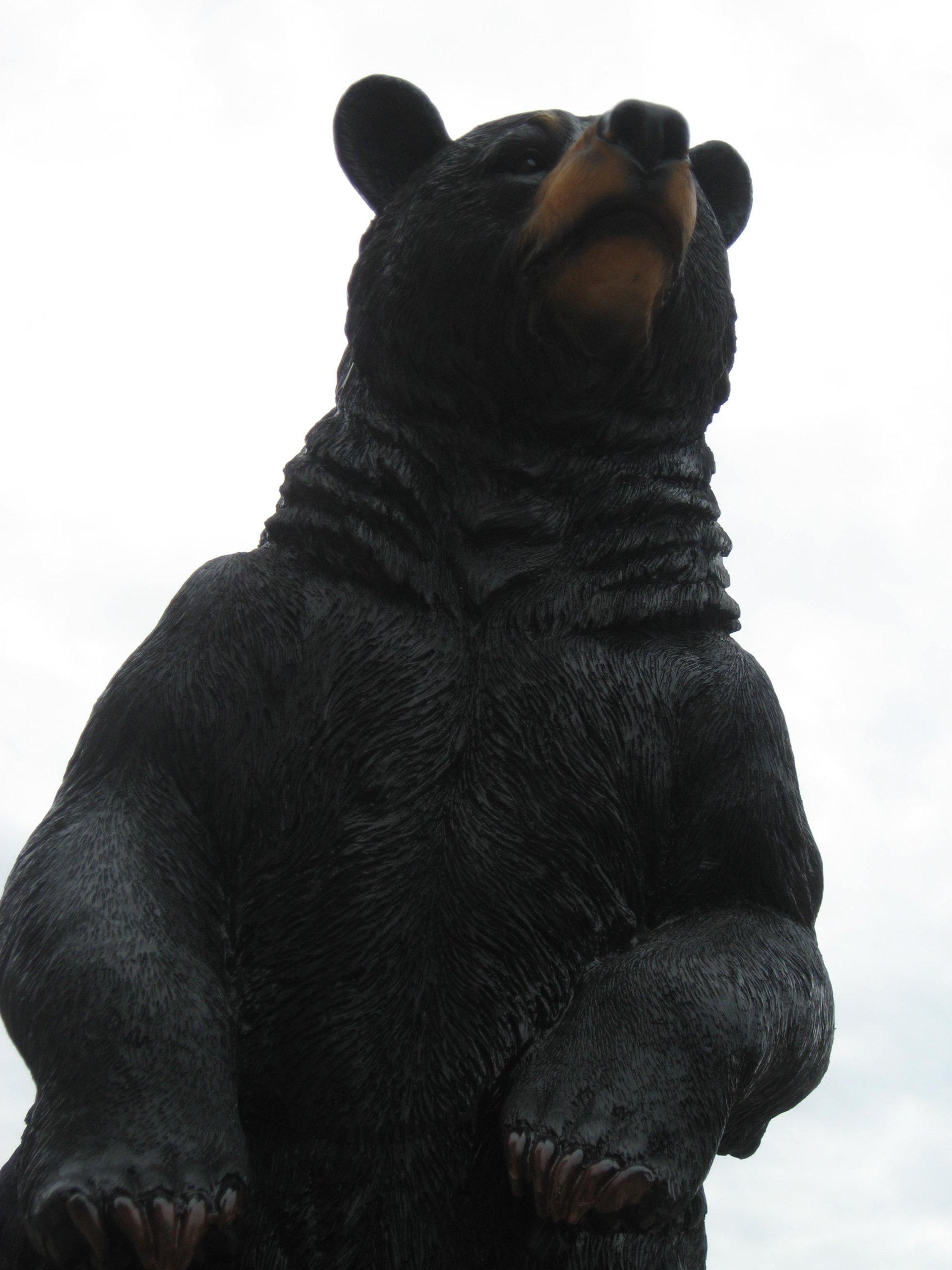 Ours noir statue Douce Ben 80 cm un compagnon protecteur chez soi