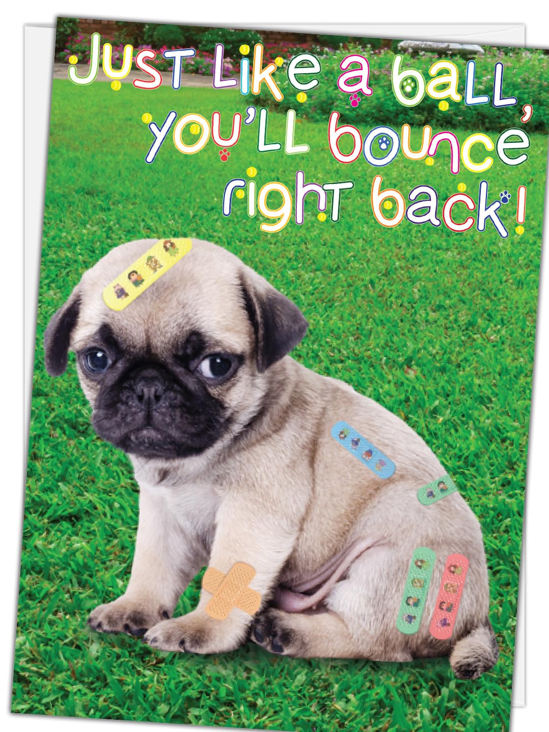 Sorry You're Feeling Pawly - Cute Border Collie Dog Get Well Soon Pun\" Greeting Card For Sale By LEFDDesigns