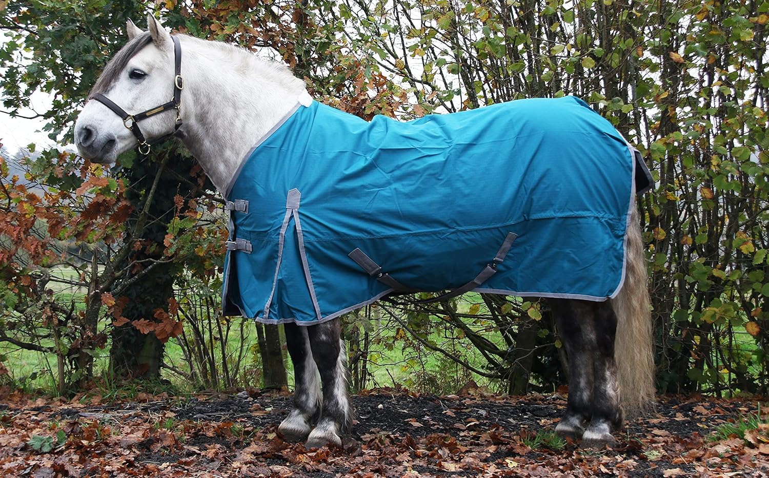 Lightweight 50g Horse Turnout Rug – Waterproof 600D Standard Neck Outdoor Horse Rug (6'9'')