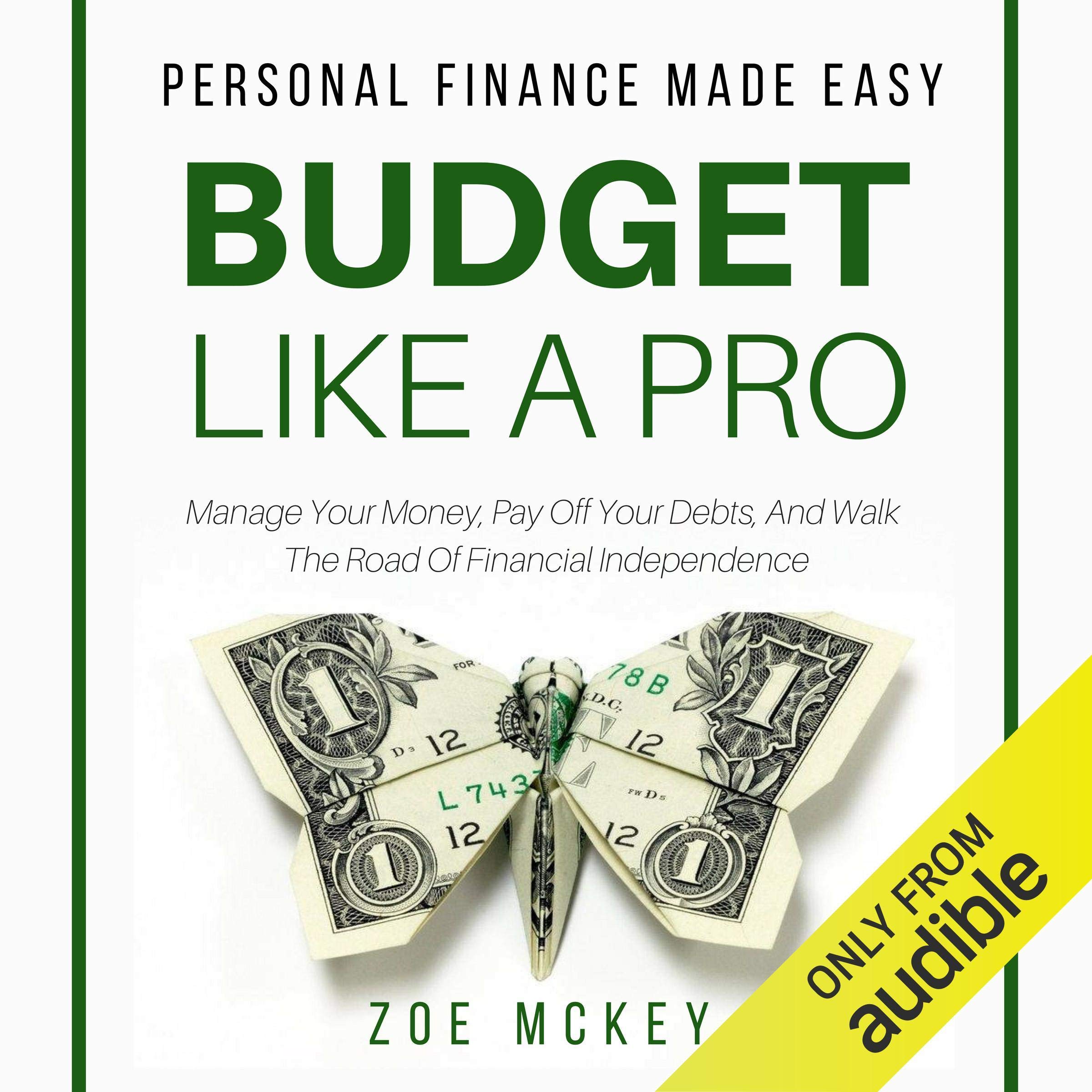 Cover art for Budget like a Pro