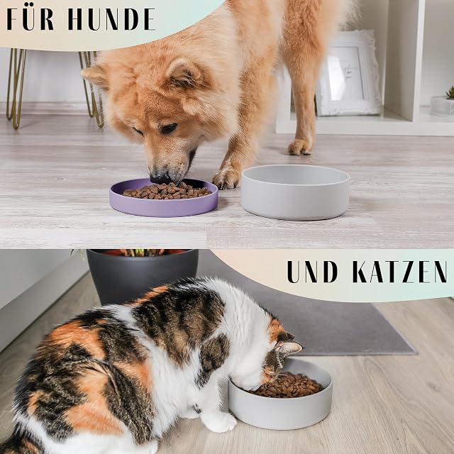 Foto 8 de 8 de ne&no® Cuenco de silicona para perros de 1200 ml con tapa para perros pequeños y medianos