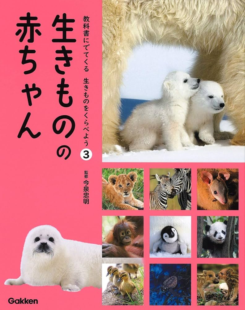 九州•沖縄の生きものたち 全3巻　今井書店　古本　除籍本 3 生きものの 赤ちゃん (教科書にでてくる 生きものをくらべよう